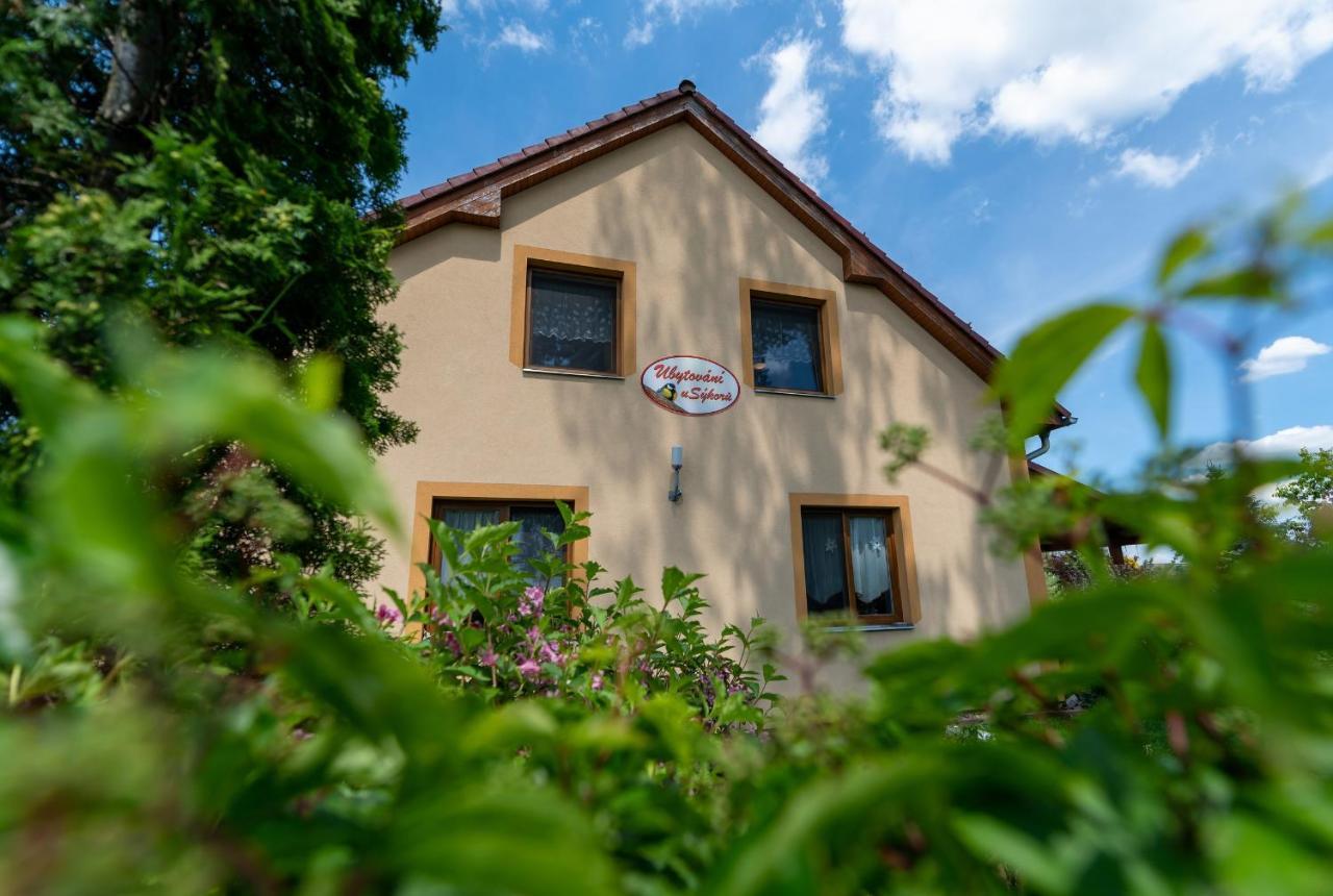 Penzion U Sykoru Třeboň Екстериор снимка