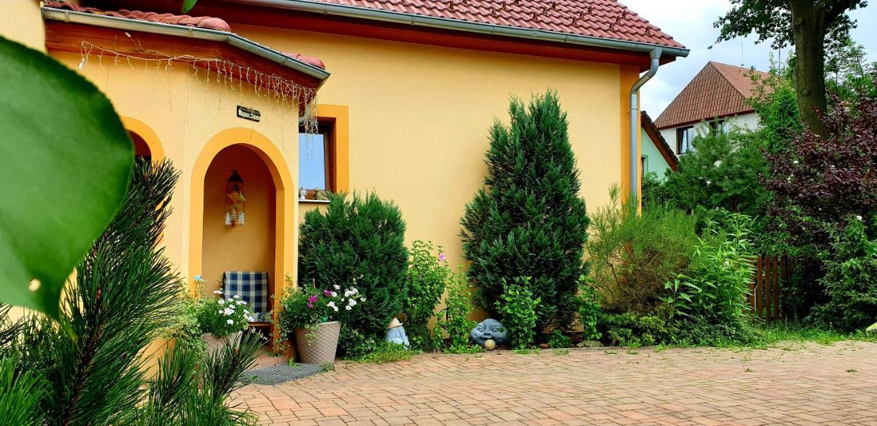 Penzion U Sykoru Třeboň Екстериор снимка